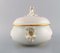 Large Antique Meissen Lidded Tureen In Hand-Painted Porcelain, Image 3