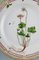 Plat à Salade Royal Copenhagen Flora Danica en Porcelaine Peinte à la Main 2
