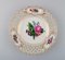 Antique Meissen Openwork Plates in Hand-Painted Porcelain, 1900s 5