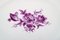 Antiker ovaler Meissen Servierteller aus handbemaltem Porzellan mit violetten Blüten 2
