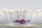Antique Meissen Sauce Boat in Hand-Painted Porcelain with Purple Flowers 4