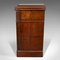Antique English Regency Tall Mahogany Bedside Side Cabinet, 1820 5