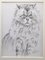 Marie Paulette Lagosse - the Cat - Original Stift auf Papier - 1970er Jahre 1