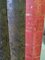 Antique Decorative Books, Set of 2, Image 4