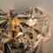 Faceted Crystal and Chrome Sconce from Kinkeldey, Germany, 1970s, Imagen 12