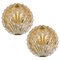 Golden Ice Glass Shell Wall Sconces from Kalmar, 1960s, Set of 2 1