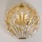 Golden Ice Glass Shell Wall Sconces from Kalmar, 1960s, Set of 2 2