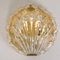 Golden Ice Glass Shell Wall Sconces from Kalmar, 1960s, Set of 2 4