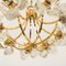 Modern Sische Glass and Brass Chandelier in the Style of Kalmar, 1960s 3