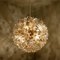 Brass & Gold Murano Glass Sputnik Light Fixtures by Paolo Venini for Veart, Set of 3, Image 10