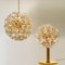 Brass & Gold Murano Glass Sputnik Light Fixtures by Paolo Venini for Veart, Set of 3, Image 14