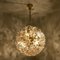Brass & Gold Murano Glass Sputnik Light Fixtures by Paolo Venini for Veart, Set of 3, Image 8