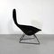 Bird Lounge Chair by Harry Bertoia for Knoll Inc. / Knoll International, 1960s 3