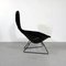 Fauteuil Bird par Harry Bertoia pour Knoll Inc. / Knoll International, 1960s 3