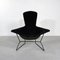 Bird Lounge Chair by Harry Bertoia for Knoll Inc. / Knoll International, 1960s 1