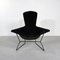 Fauteuil Bird par Harry Bertoia pour Knoll Inc. / Knoll International, 1960s 1