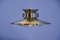 Danish Brass Ceiling Lamp, 1970s 1