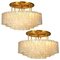 Large Blown Glass and Brass Flush Mount Light Fixtures from Doria, Set of 2 1