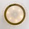 Large Organic Glass and Brass Flush Mount from Doria, 1970 12