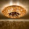 Gilded Brass and Crystal Glass Flush Mount Light from Palwa, 1960s, Image 6