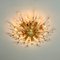 Italienische Wandlampen aus Kristall & Vergoldetem Messing von Stilkronen, 2er Set 15