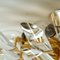 Italian Crystal and Gilded Brass Flush Mount Sconces from Stilkronen, Set of 2 8
