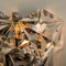 Faceted Crystal and Chrome Sconce from Kinkeldey, Germany, 1970s 12