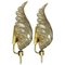 Large Wall Sconces in Gold Glass from Barovier & Toso, Murano, Italy, 1960, Set of 2, Image 1