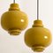 Olive Green Glass Pendant Lights by Hans-Agne Jakobsson for Staff, 1960, Set of 2 5