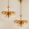 Lámparas de araña de cristal y latón dorado de 6 luces de Palwa, años 60. Juego de 2, Imagen 9