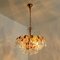 Lámparas de araña de cristal y latón dorado de 6 luces de Palwa, años 60. Juego de 2, Imagen 10