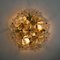 Glass and Brass Floral Wall Lights from Ernst Palme, 1970s, Set of 2 13