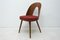 Mid-Century Walnut Dining Chairs by Antonin Suman for Tatra Furniture 10