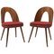 Mid-Century Walnut Dining Chairs by Antonin Suman for Tatra Furniture 1