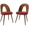 Mid-Century Walnut Dining Chairs by Antonin Suman for Tatra Furniture, Image 1