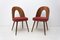 Mid-Century Walnut Dining Chairs by Antonin Suman for Tatra Furniture 2