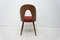 Mid-Century Walnut Dining Chairs by Antonin Suman for Tatra Furniture 16