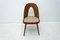 Mid-Century Walnut Dining Chairs by Antonin Suman for Tatra Furniture, Image 19