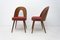 Mid-Century Walnut Dining Chairs by Antonin Suman for Tatra Furniture 5