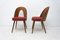 Mid-Century Walnut Dining Chairs by Antonin Suman for Tatra Furniture, Image 5