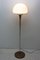 Mid-Century Czech Floor Lamp, 1960s 2