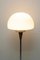 Mid-Century Czech Floor Lamp, 1960s, Image 3