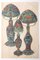 Lampes Inconnues en Porcelaine, Aquarelle sur Papier, 1880s 1