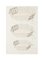 Desconocido - Jarrones de porcelana - Acuarela original china y tinta - 1880, Imagen 1