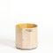 Small Tara Birch Plant Pot from Moya, Image 1