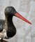 Vintage Decoy Sandpiper On Stand, Image 5