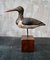 Vintage Decoy Sandpiper On Stand, Image 6