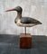 Vintage Decoy Sandpiper On Stand 1