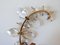 Iridescent Crystal Glass & Brass Flower Sconces from Palwa, 1960s, Set of 3 17