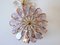 Apliques en forma de flor de latón y cristal iridiscente de Palwa, años 60. Juego de 3, Imagen 16
